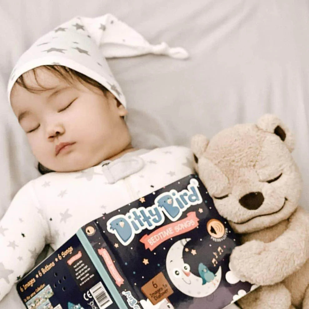 DITTY BIRD-BEDTIME SONGS-RECHARGEABLE MUSICAL BOOK