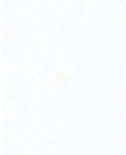 White Sparkle - Tissue Paper - Sparkle