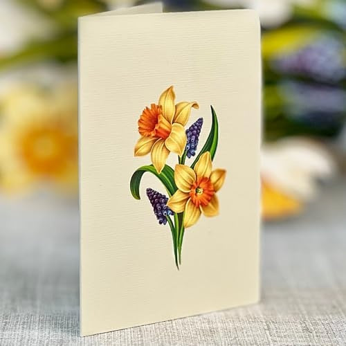 Mini English Daffodil