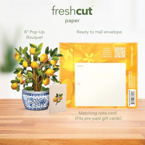 Mini Lemon Tree