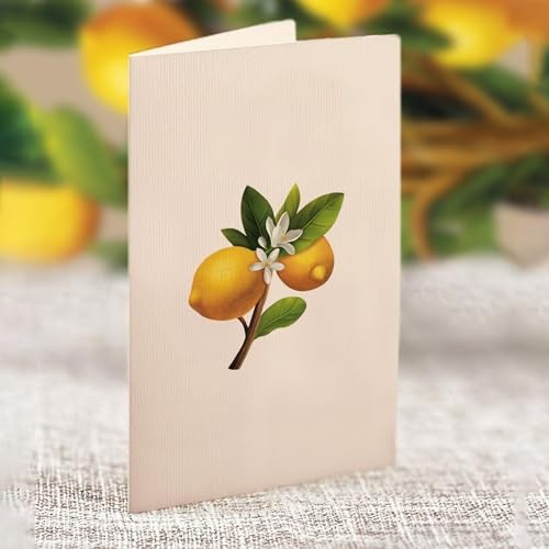 Mini Lemon Tree