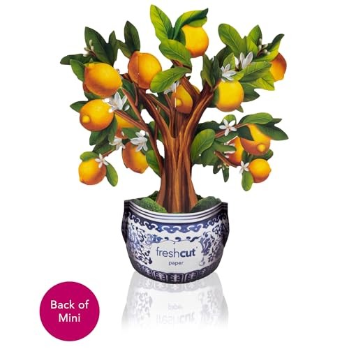 Mini Lemon Tree
