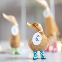 Spotty Boots Duckys