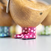 Spotty Boots Duckys