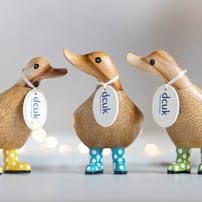 Spotty Boots Duckys