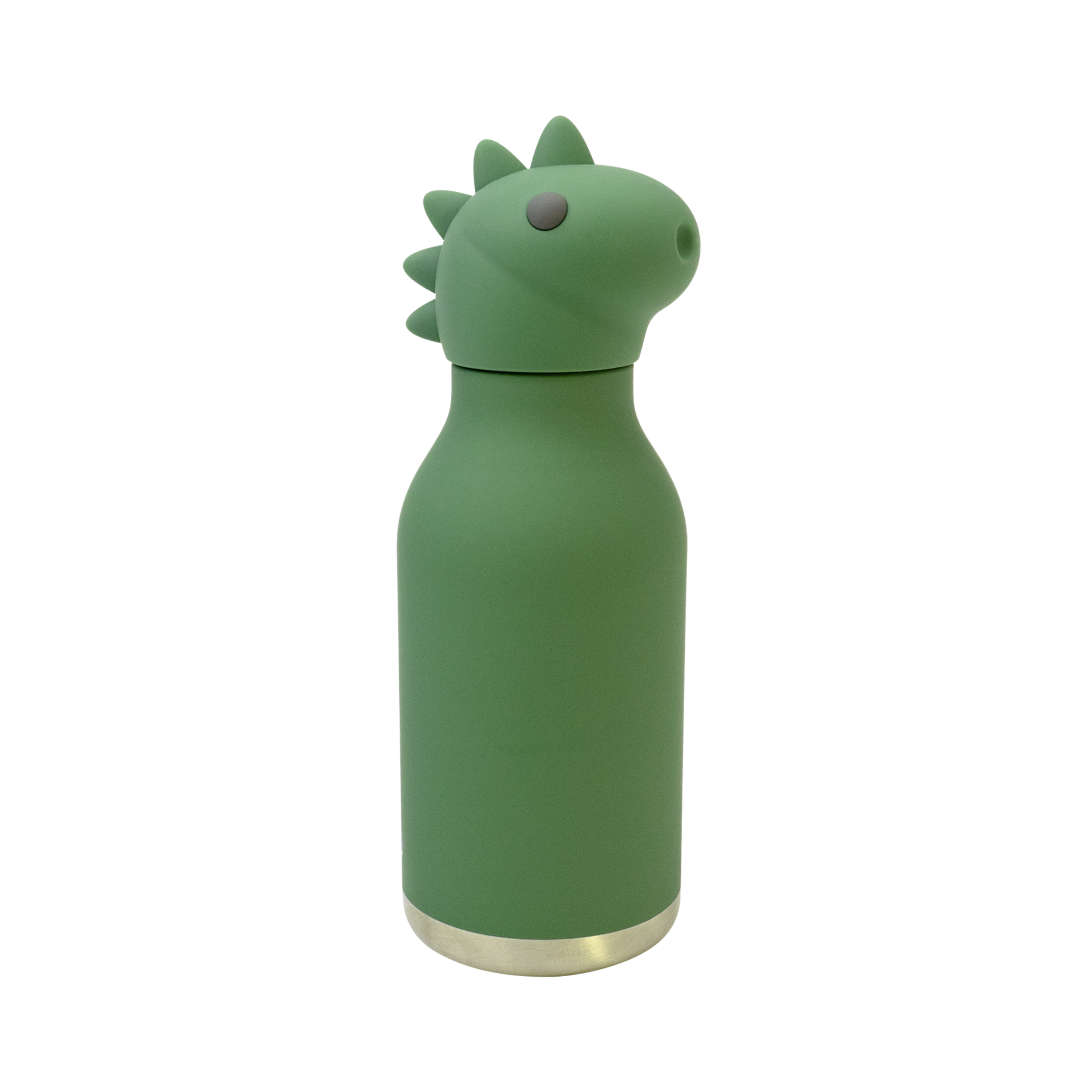 Ceramic-Lined Water Bottle - Dinosaur