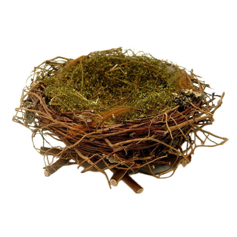 WRENS NEST