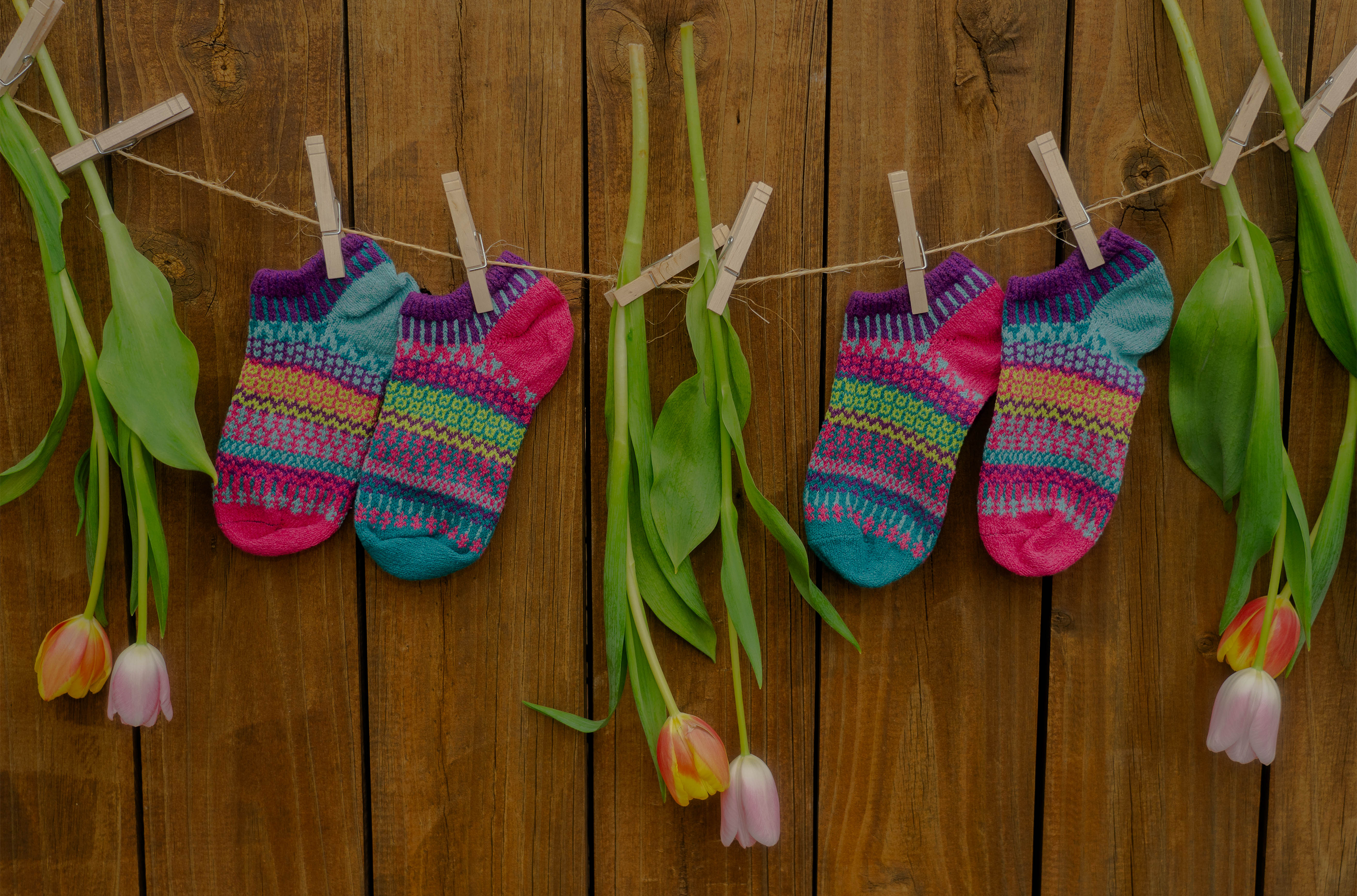 Morning Glory Ankle Socks - Small