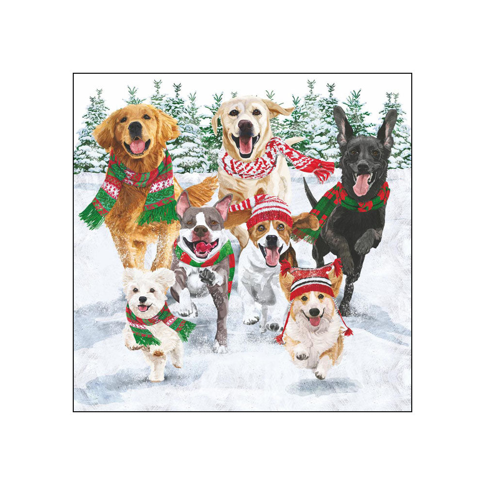 Seven dogs in Christmas scarves and hats running playfully through snowy winter landscape