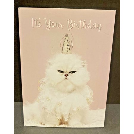 Birthday Persian Cat Birthday Card - Her