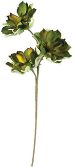 Botanica #3183 - Green