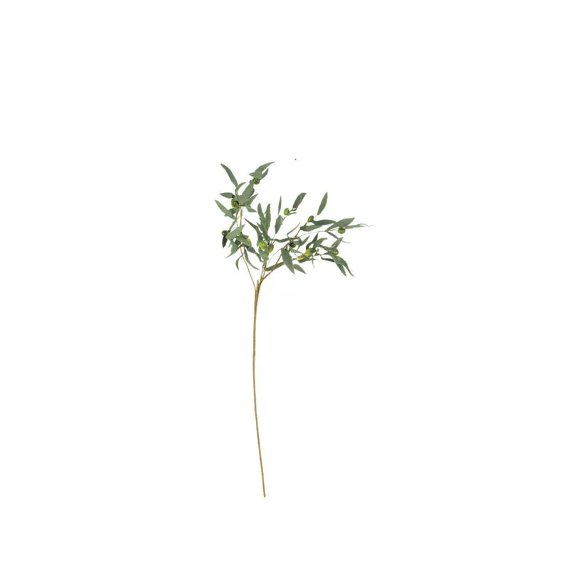 Botanica #0963 - olive branch