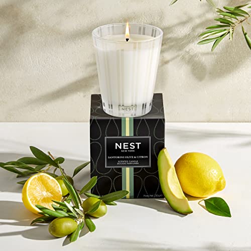 NEST CLASSIC CANDLE SANTORINI OLIVE & CITRON 8.1OZ