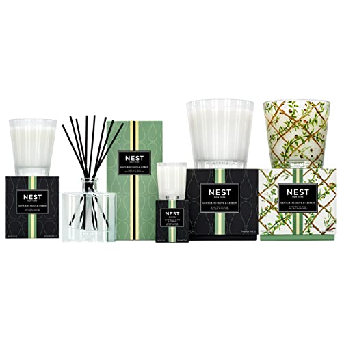 NEST CLASSIC CANDLE SANTORINI OLIVE & CITRON 8.1OZ
