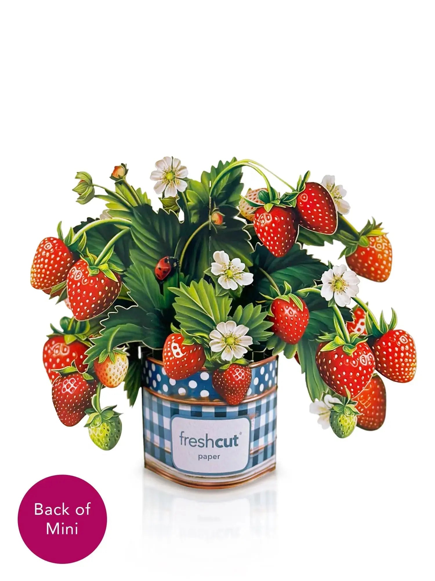 Mini Strawberry Blossom