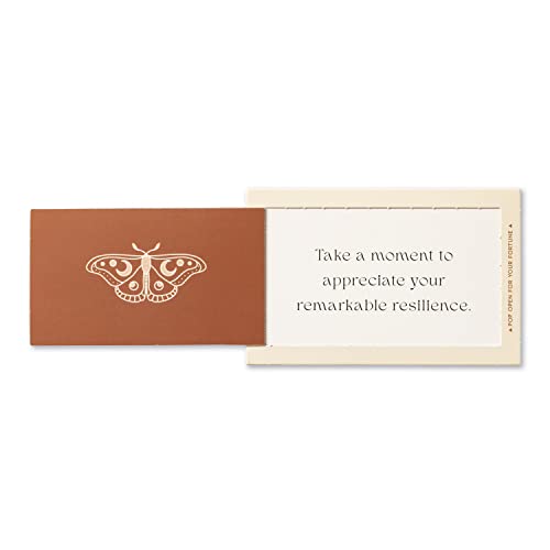 Pop-Open Fortunes - boxed cards