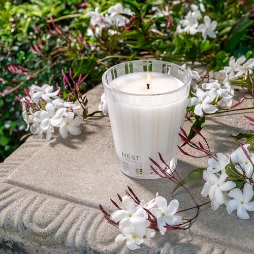 NEST CLASSIC CANDLE 8.1 OZ INDIAN JASMINE