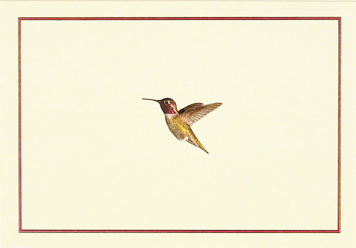 Single note card featuring a hummingbird in flight on cream background with red border