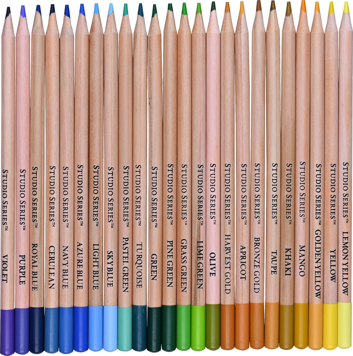 Studio Series colored pencils fanned out showing 24 shades from violet to lemon yellow