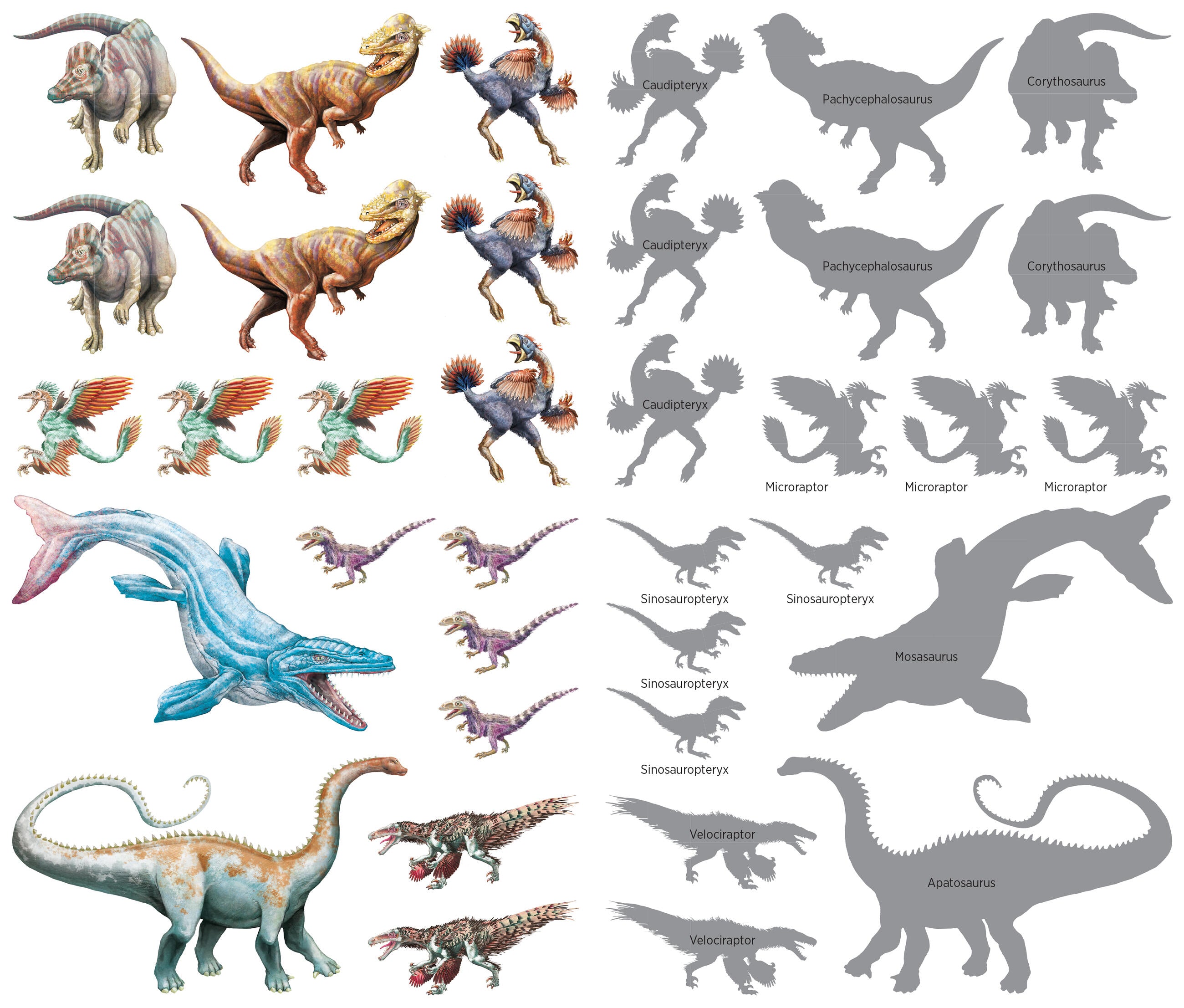 Roaring, Rumbling Tattoo: Dinosaurs