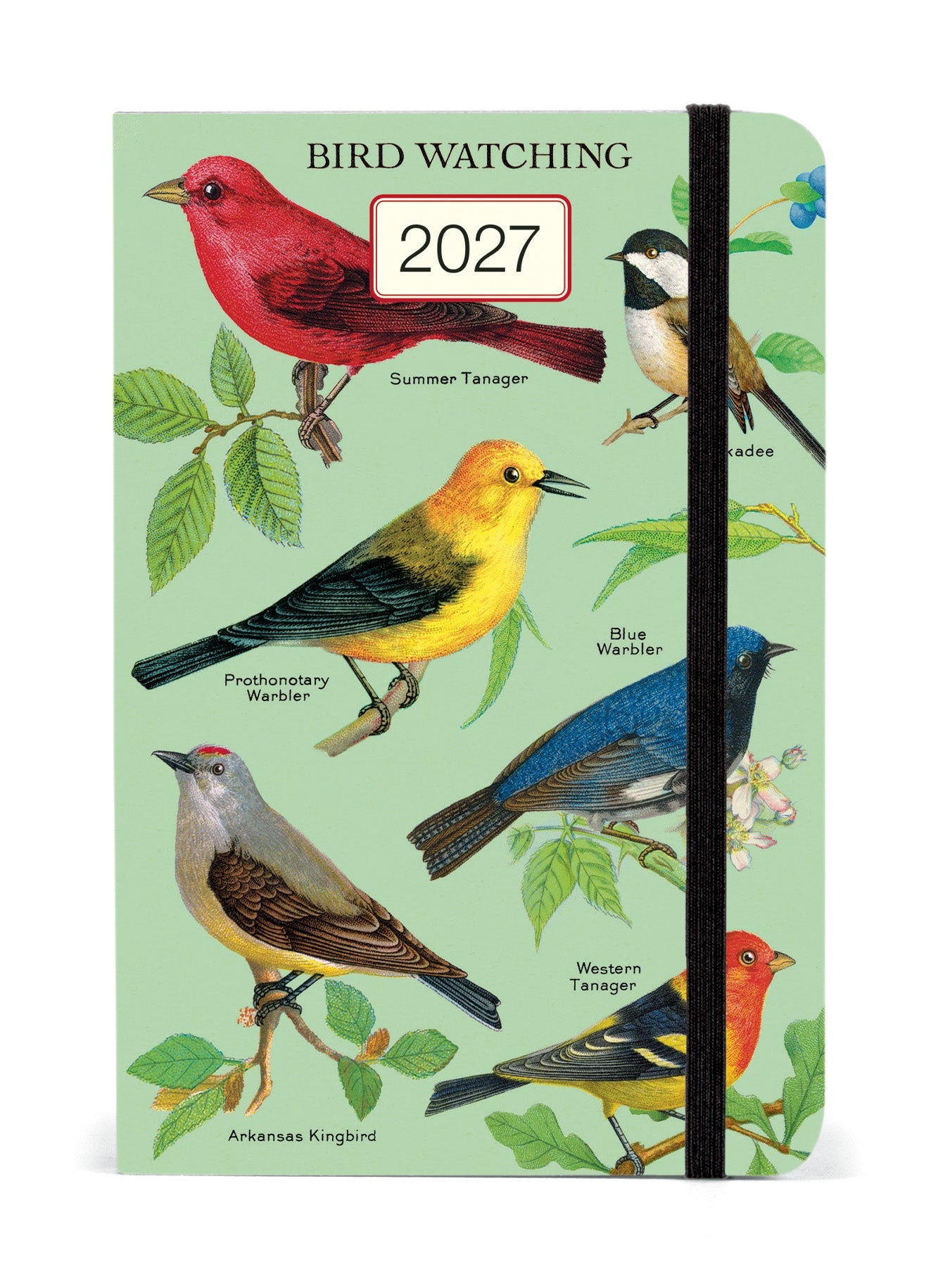 2027 BIRDS 4X6" PLANNER-ELASTIC CLOSURE