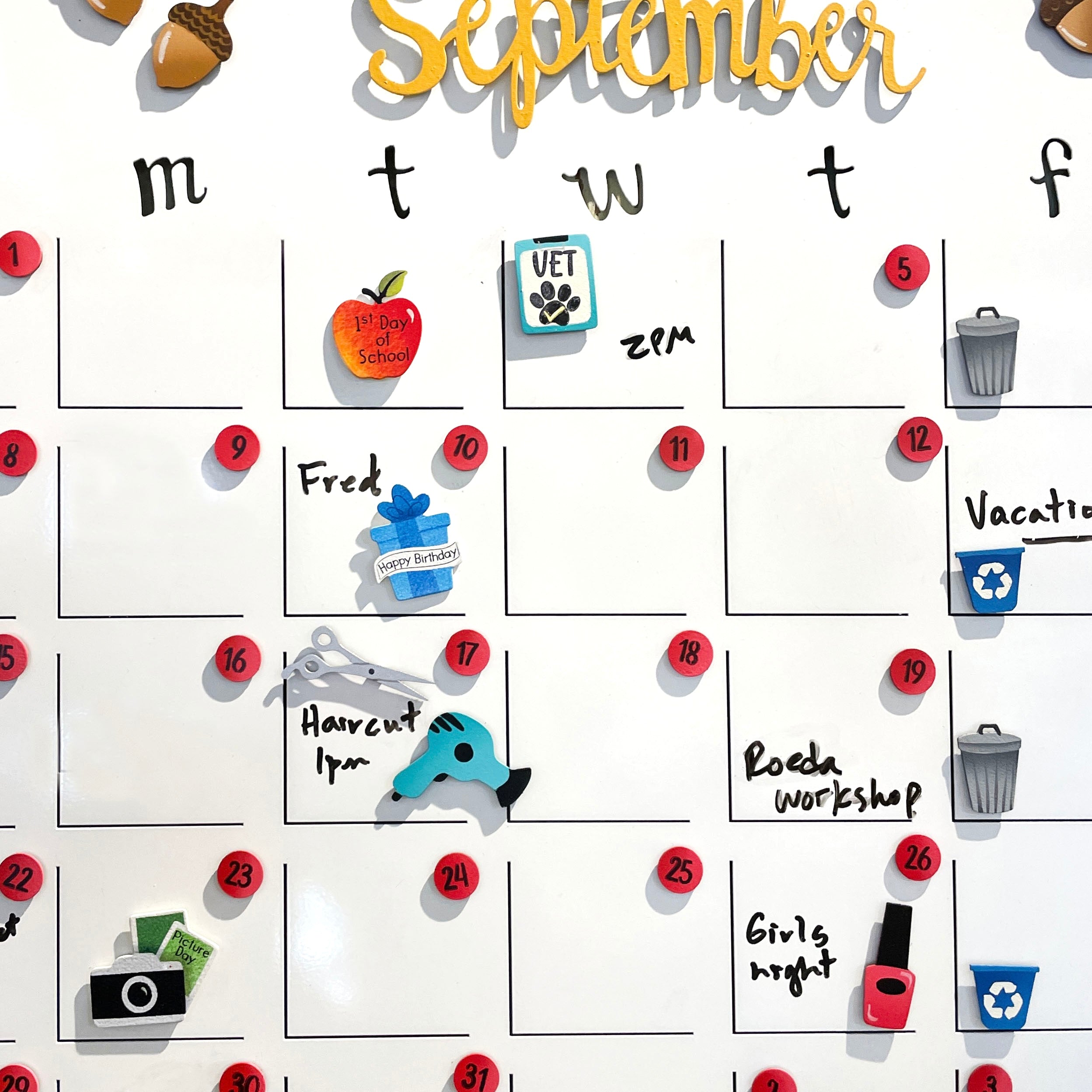 PET CALENDAR MAGNETS SET OF 3