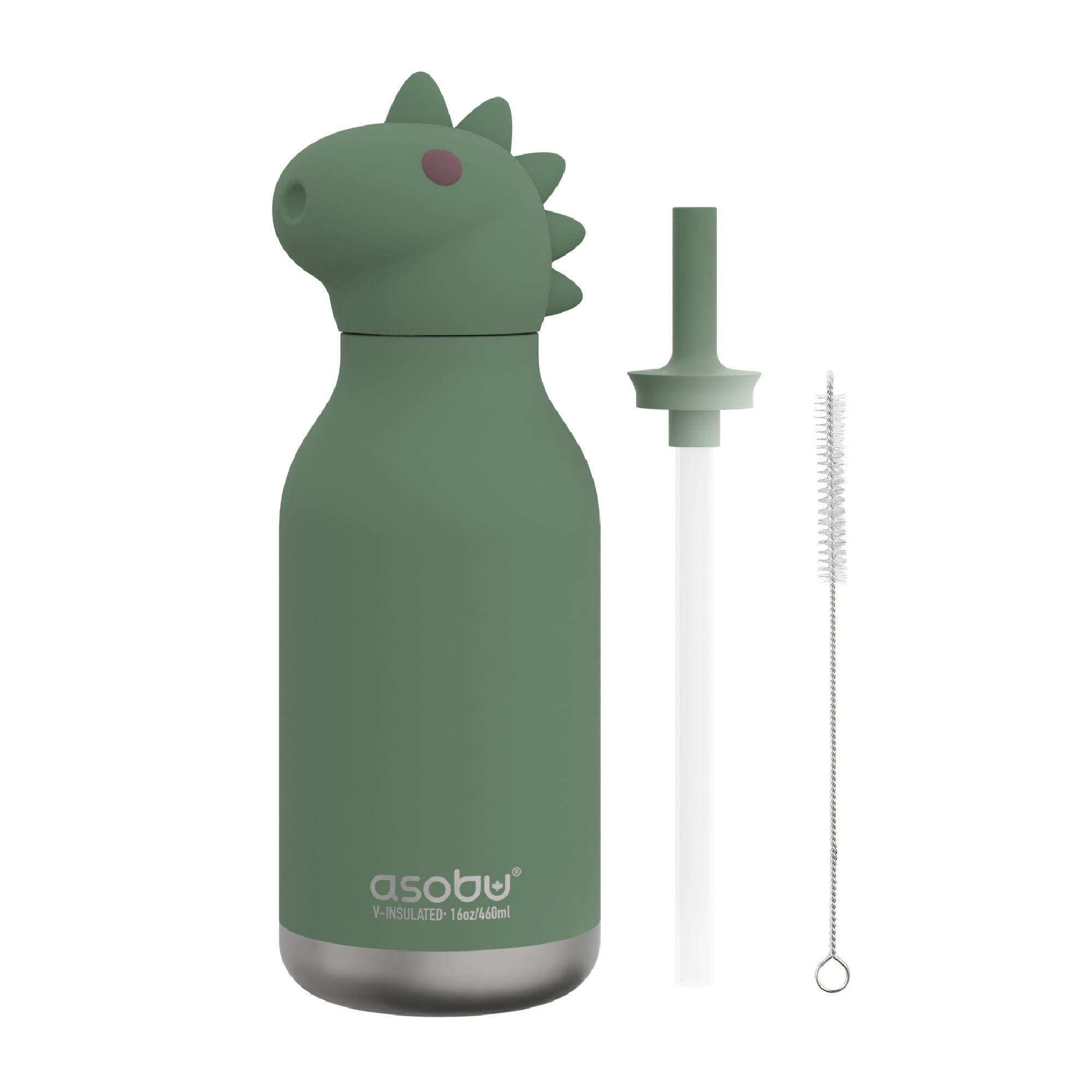 Ceramic-Lined Water Bottle - Dinosaur