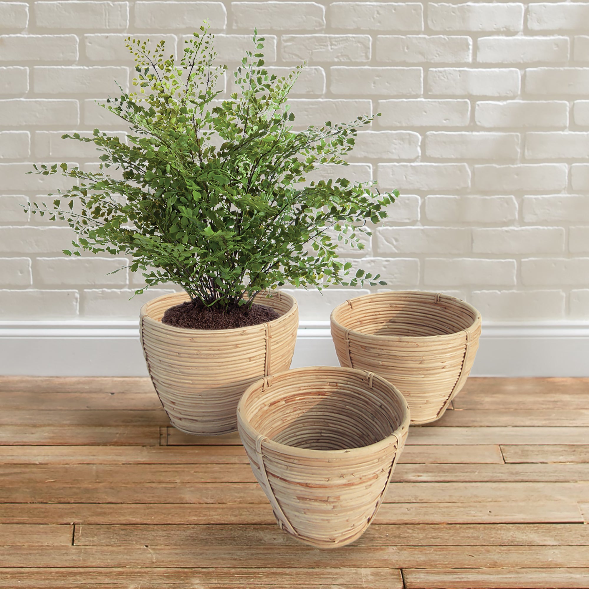 Cane Rattan Tapered Basket - sm