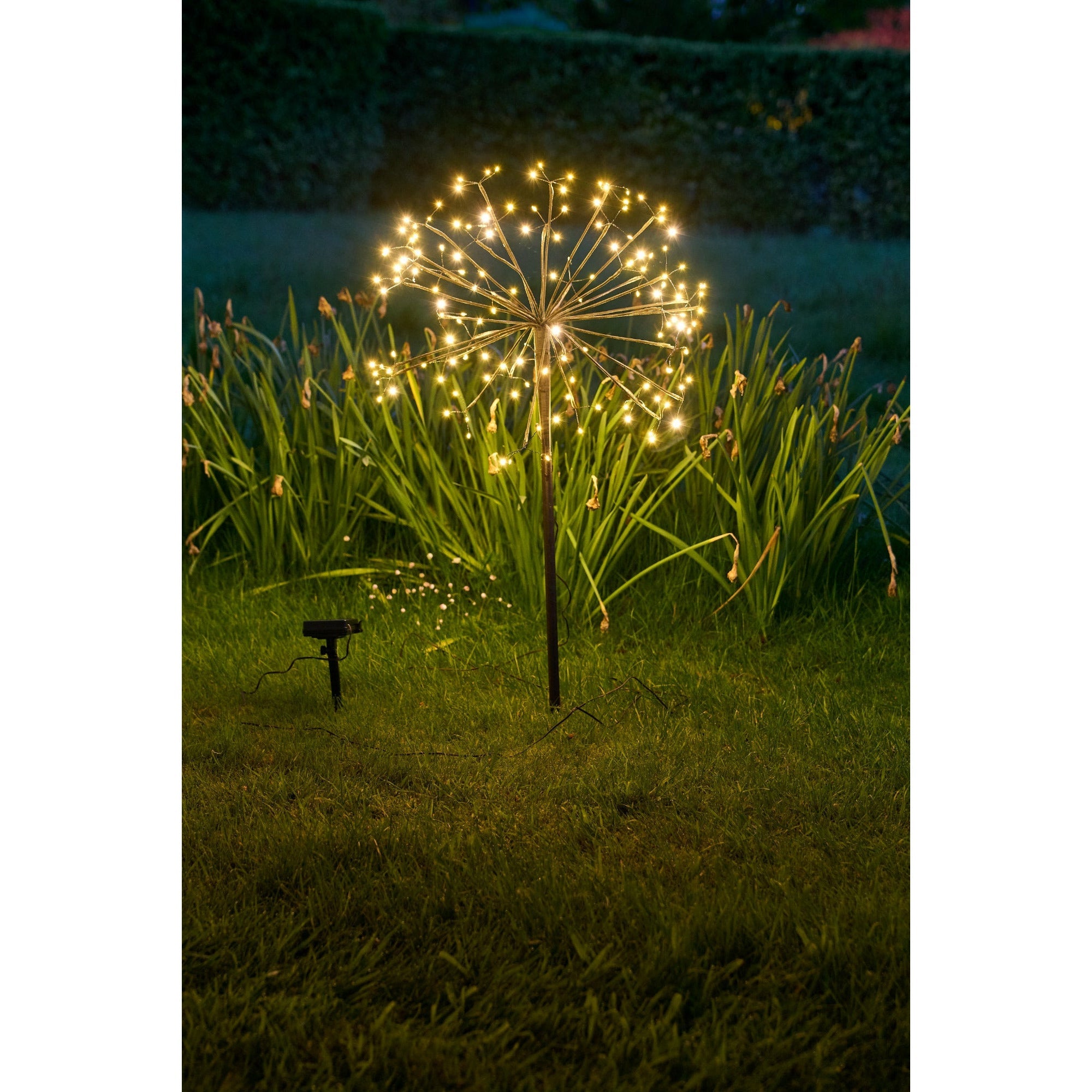 Solar Dandelion Light - Size: 96 LED