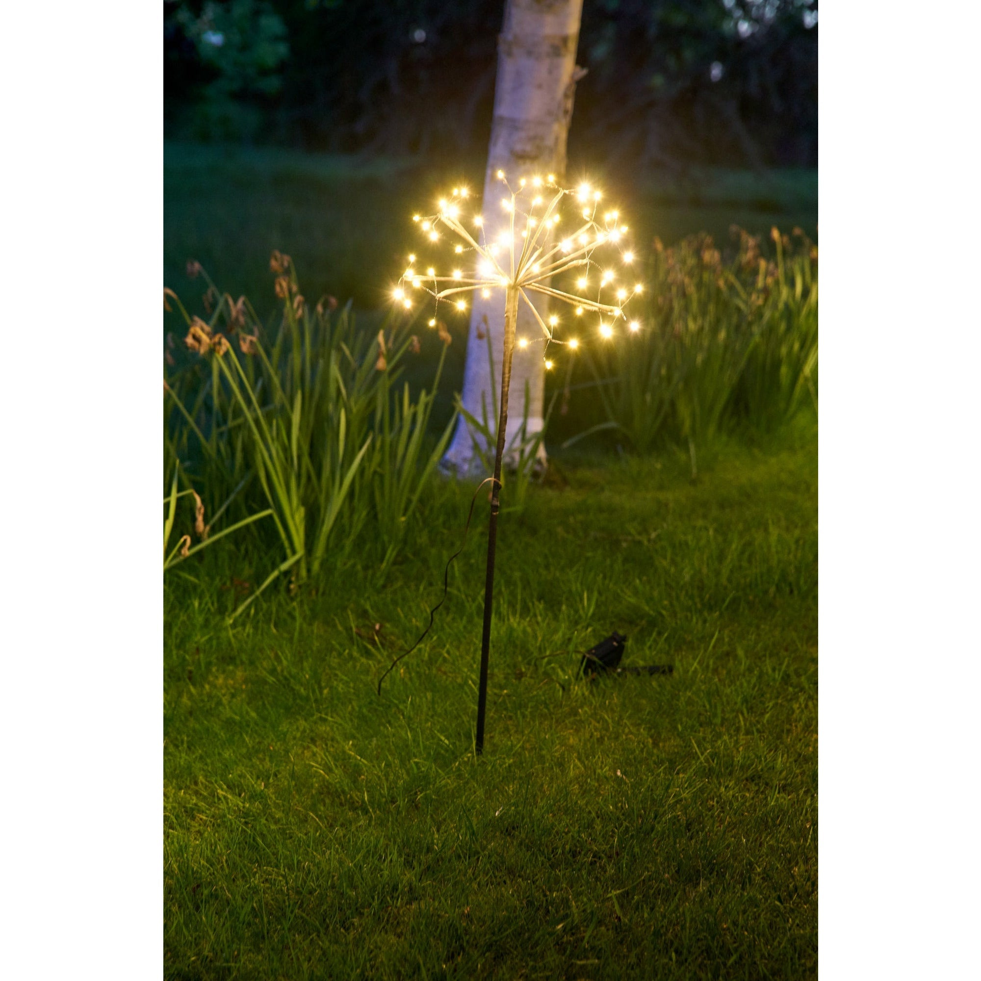 Solar Dandelion Light - Size: 96 LED