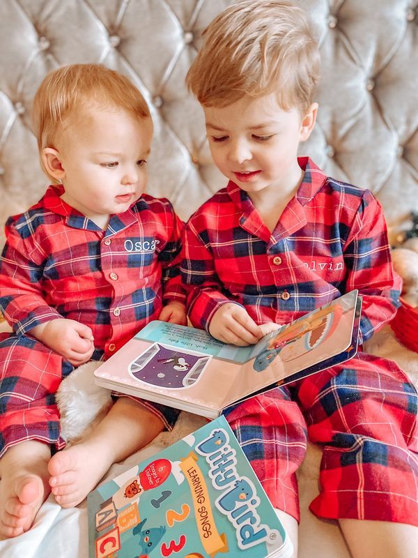 DITTY BIRD-LEARNING SONGS-RECHARGEABLE MUSICAL BOOK