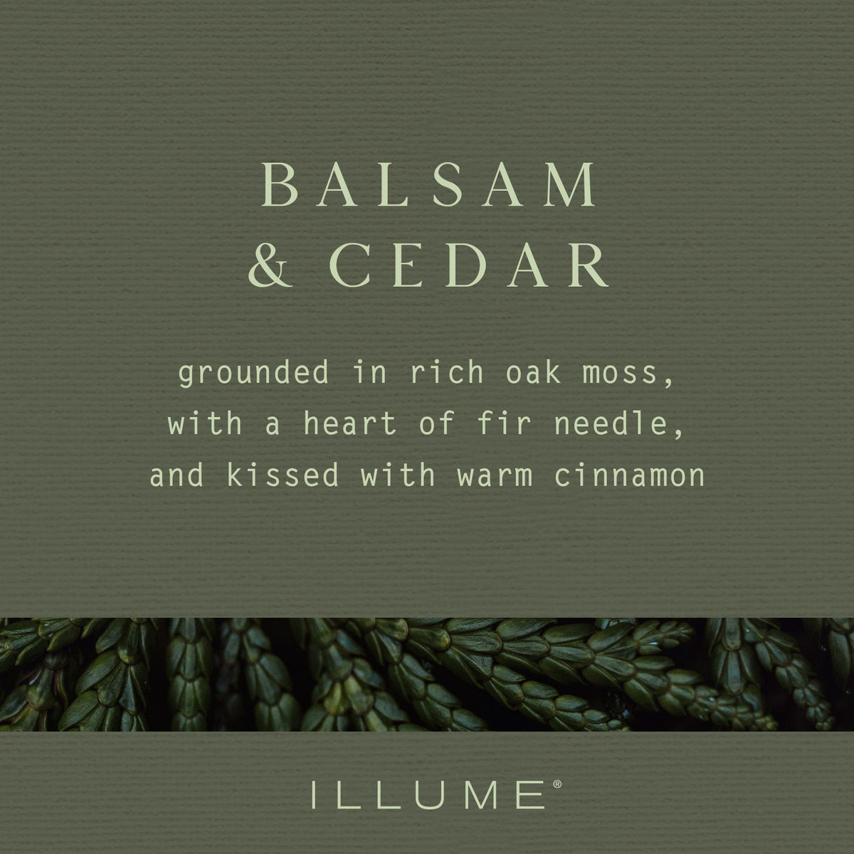 Illume Balsam and Cedar scent description card with oak moss, fir needle, and cinnamon notes