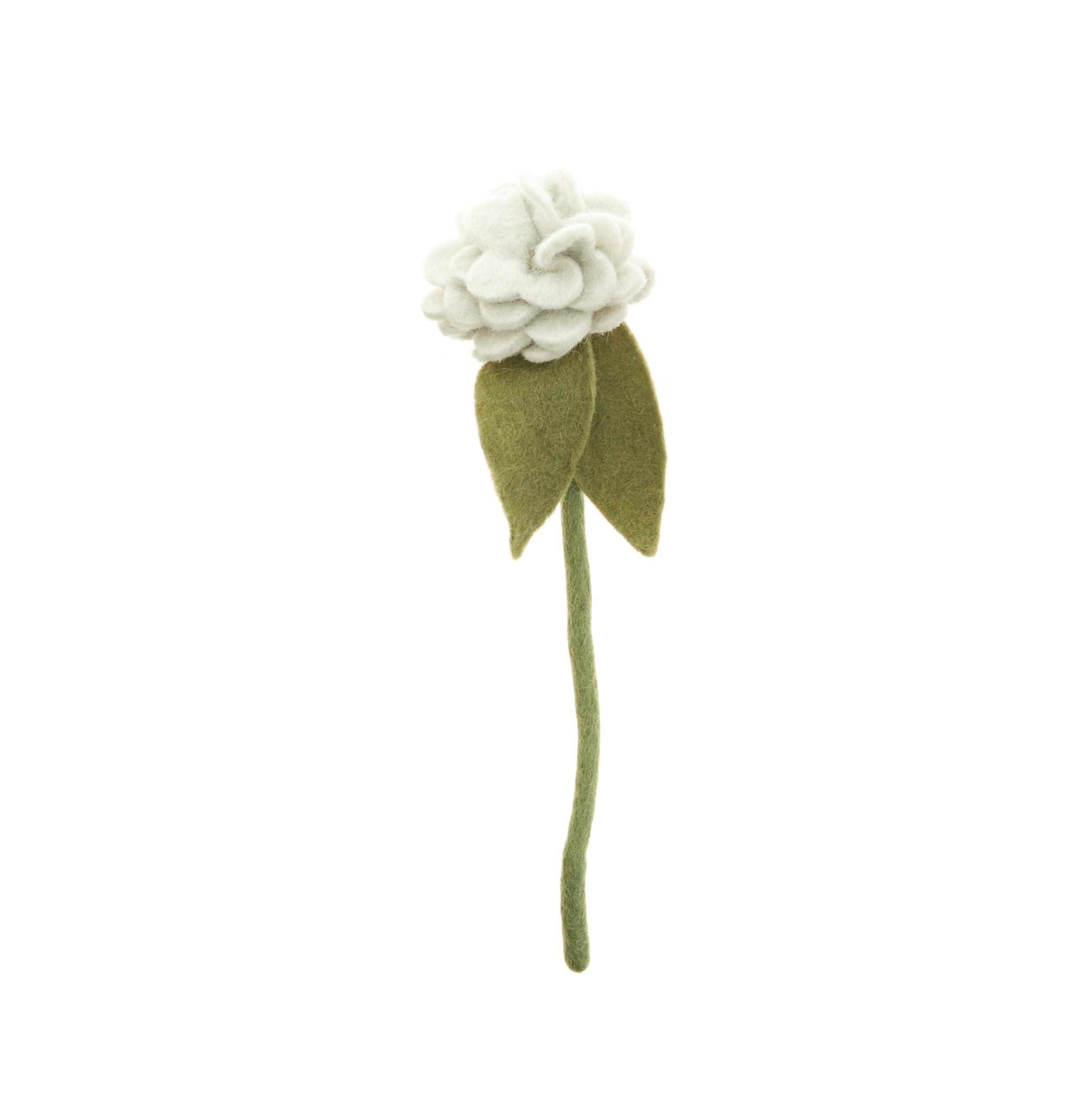 FELT GERANIUM