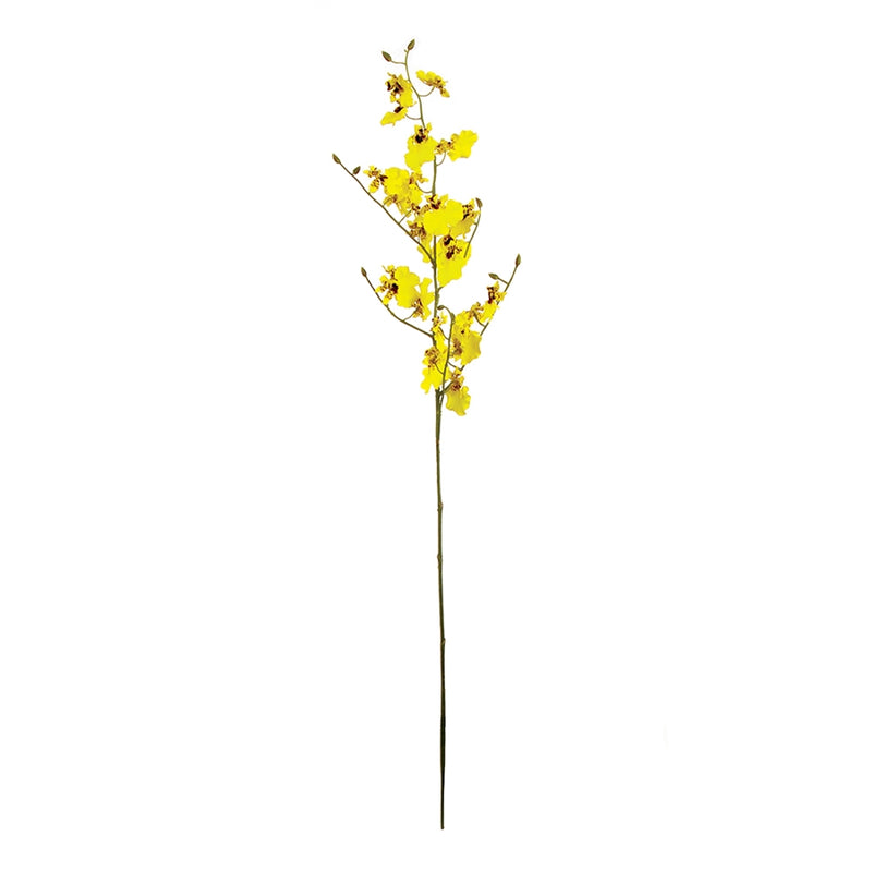 Oncidium Orchid Stem 36.5"