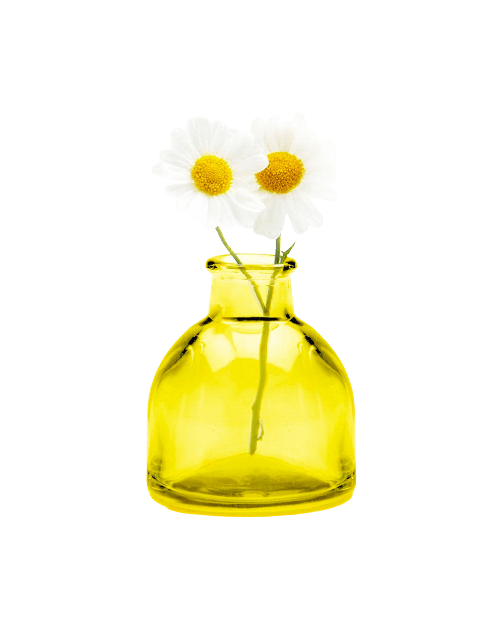 Loft Mini Vase - Assorted