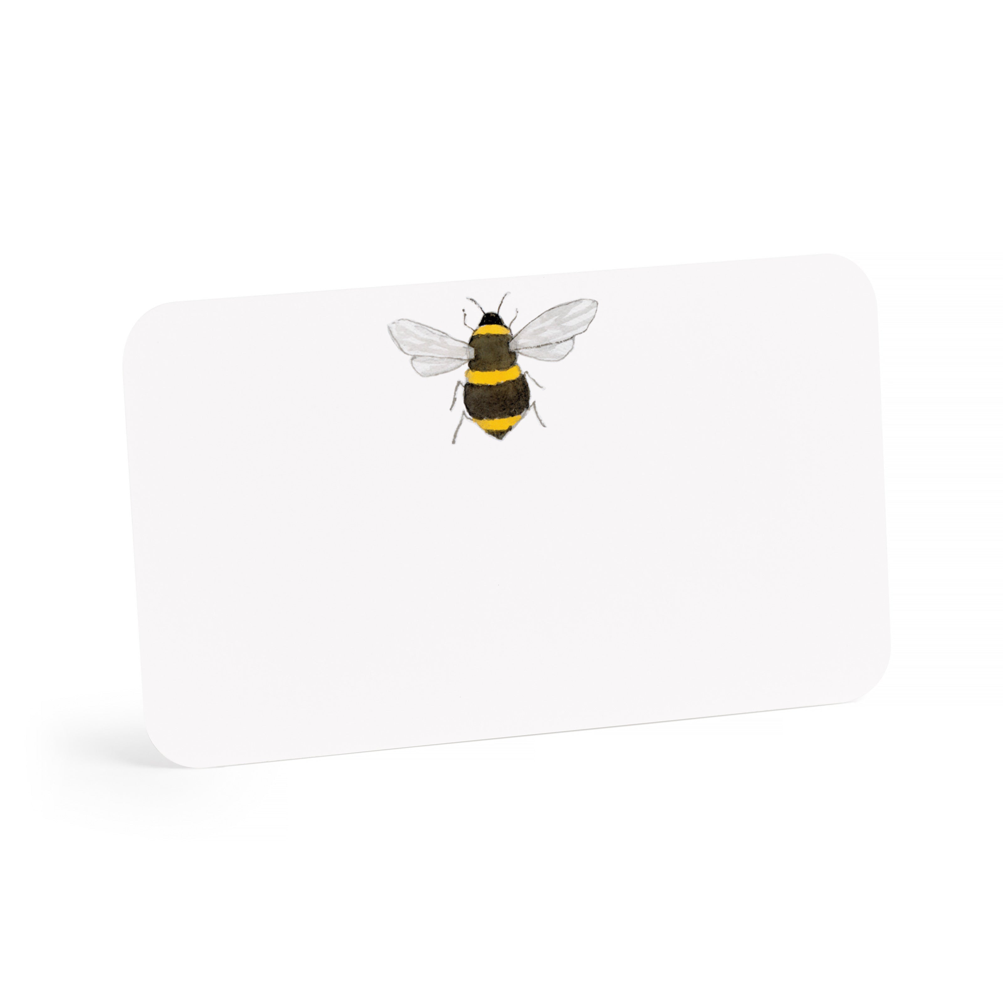 BEE-LITTLE NOTES BOXED SET OF 85 MINI NOTE CARDS