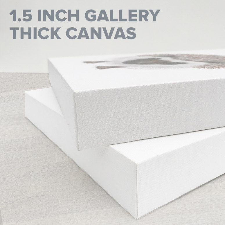 Cacti Canyon - Canvas Wall Art 21" x 21"