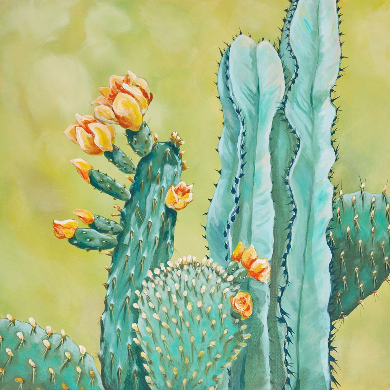 Cacti Canyon - Canvas Wall Art 21" x 21"