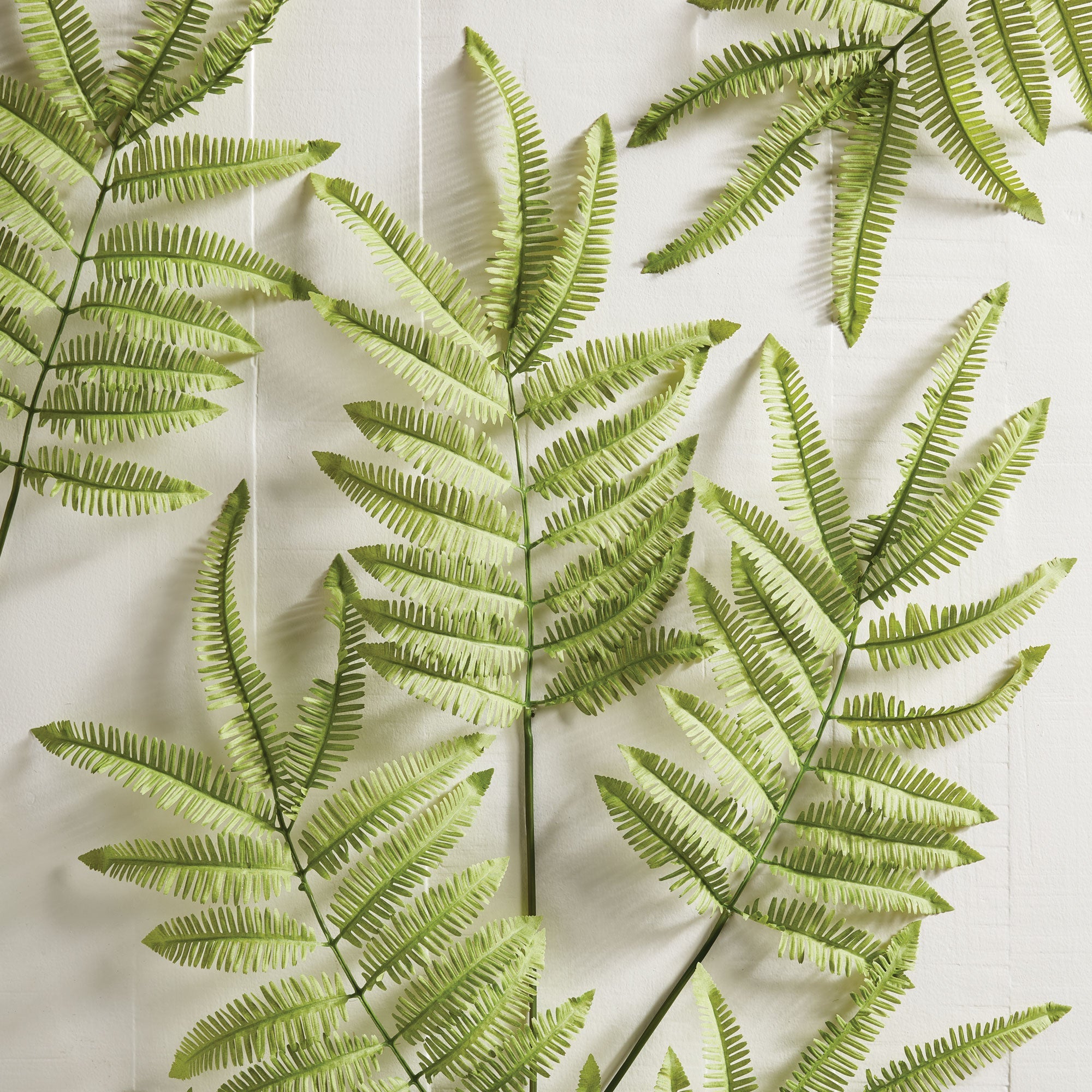 Tree Fern Stem 42.5"