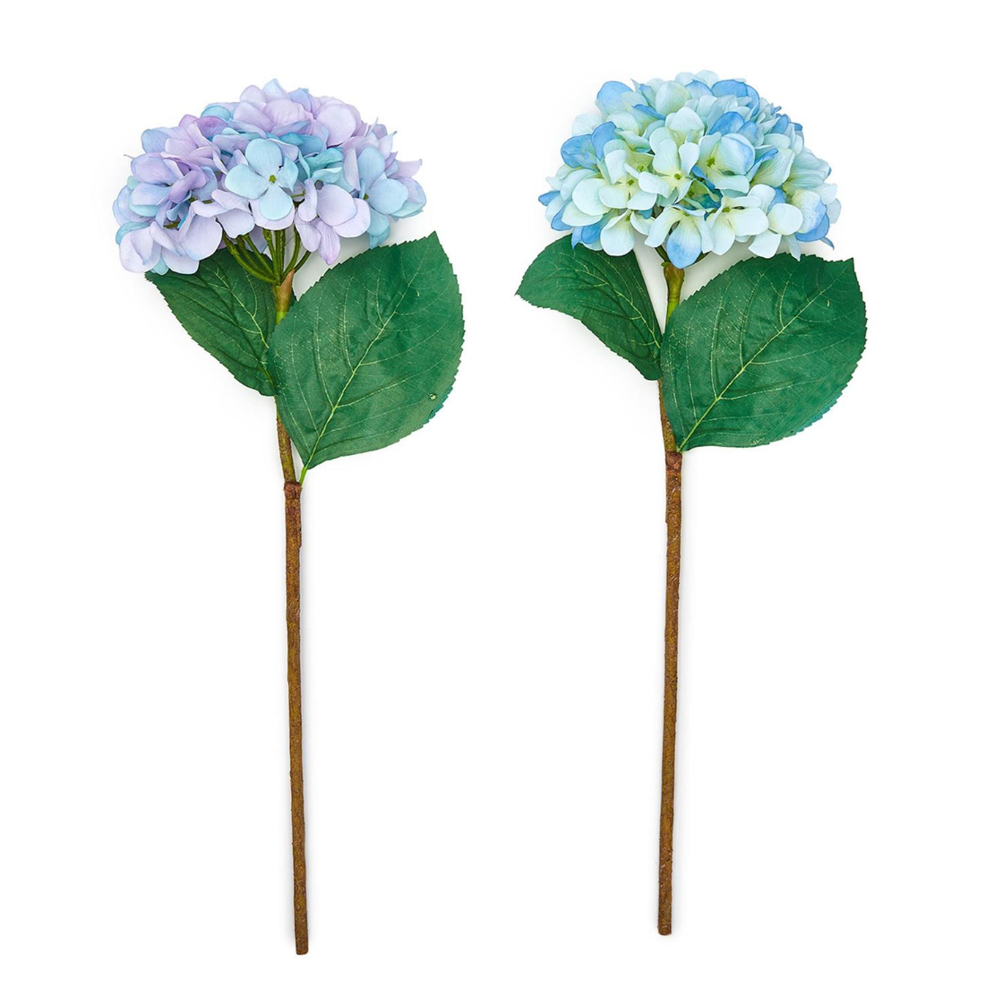 hydrangea stem-blue/green/purple