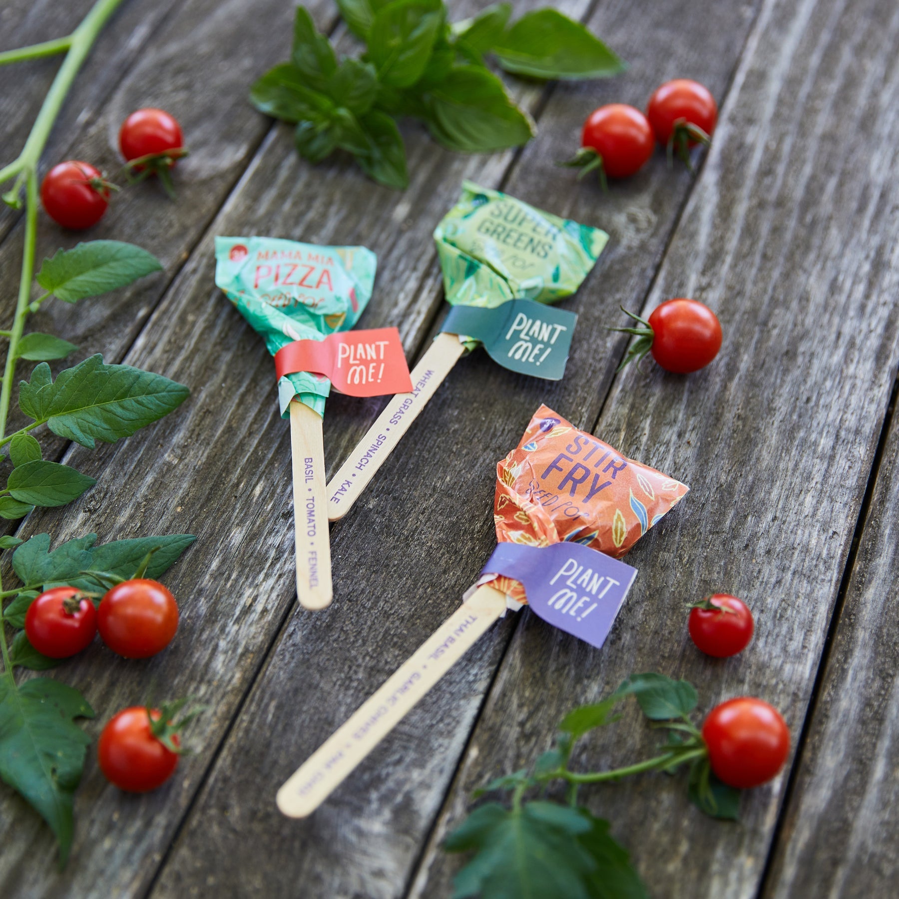 SEED LOLLIPOP