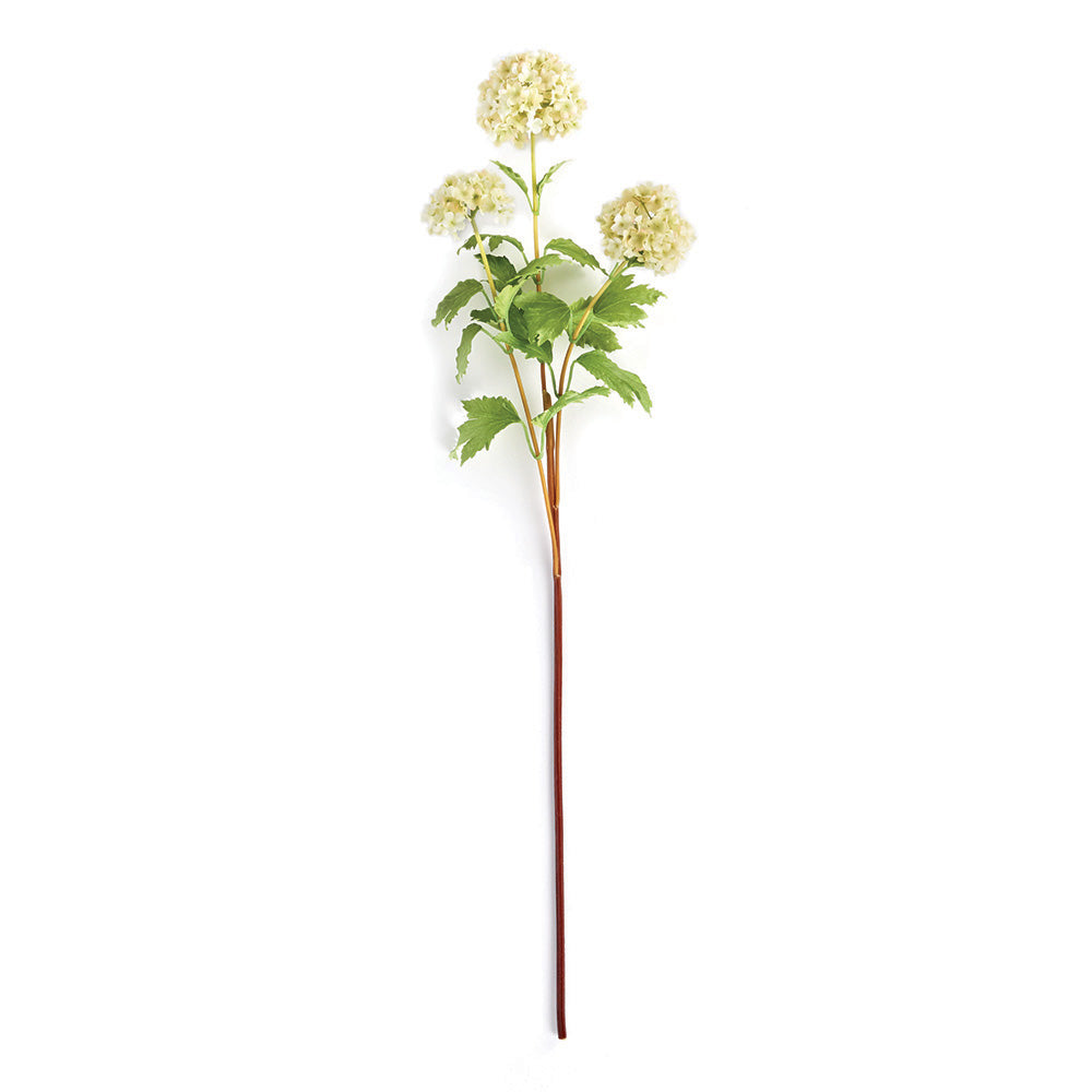 Viburnum 30" Stem
