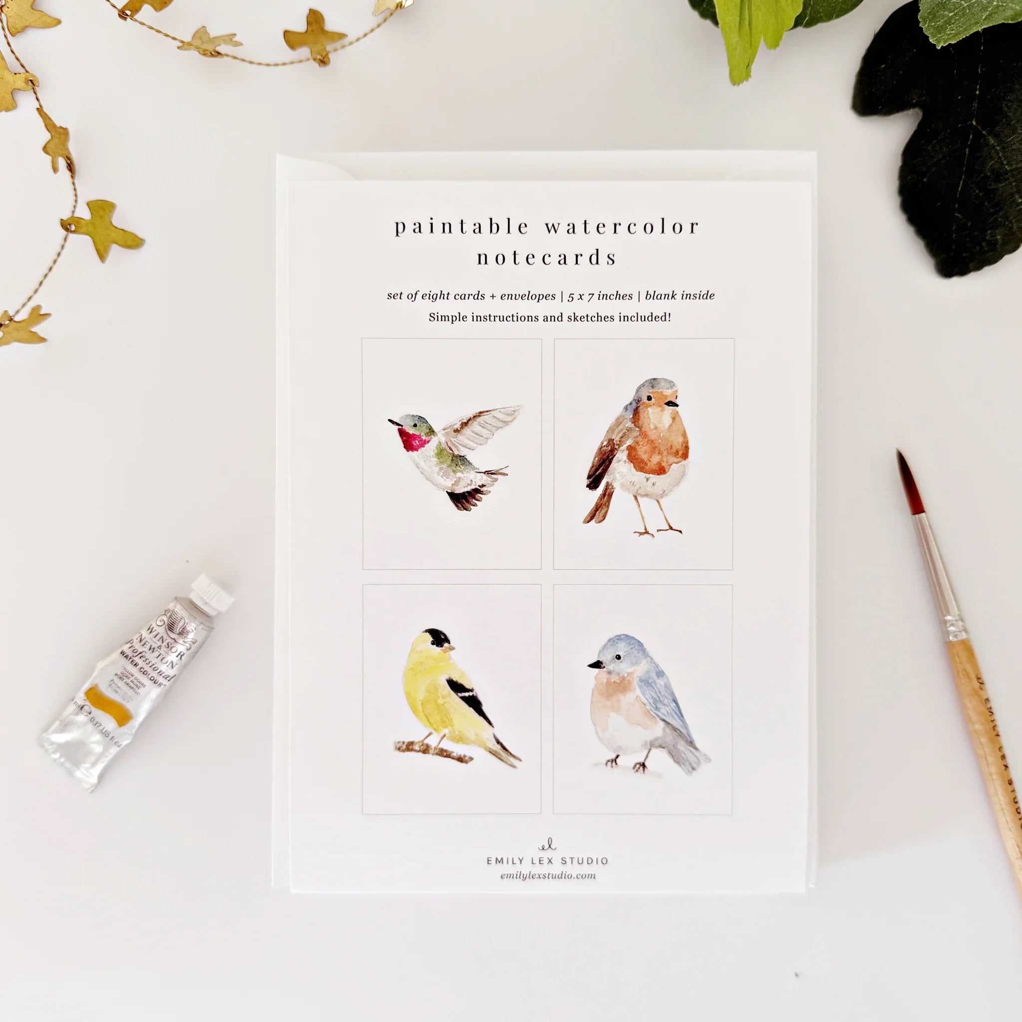 BACKYARD BIRDS PAINTABLE WATERCOLOR NOTECARD SET