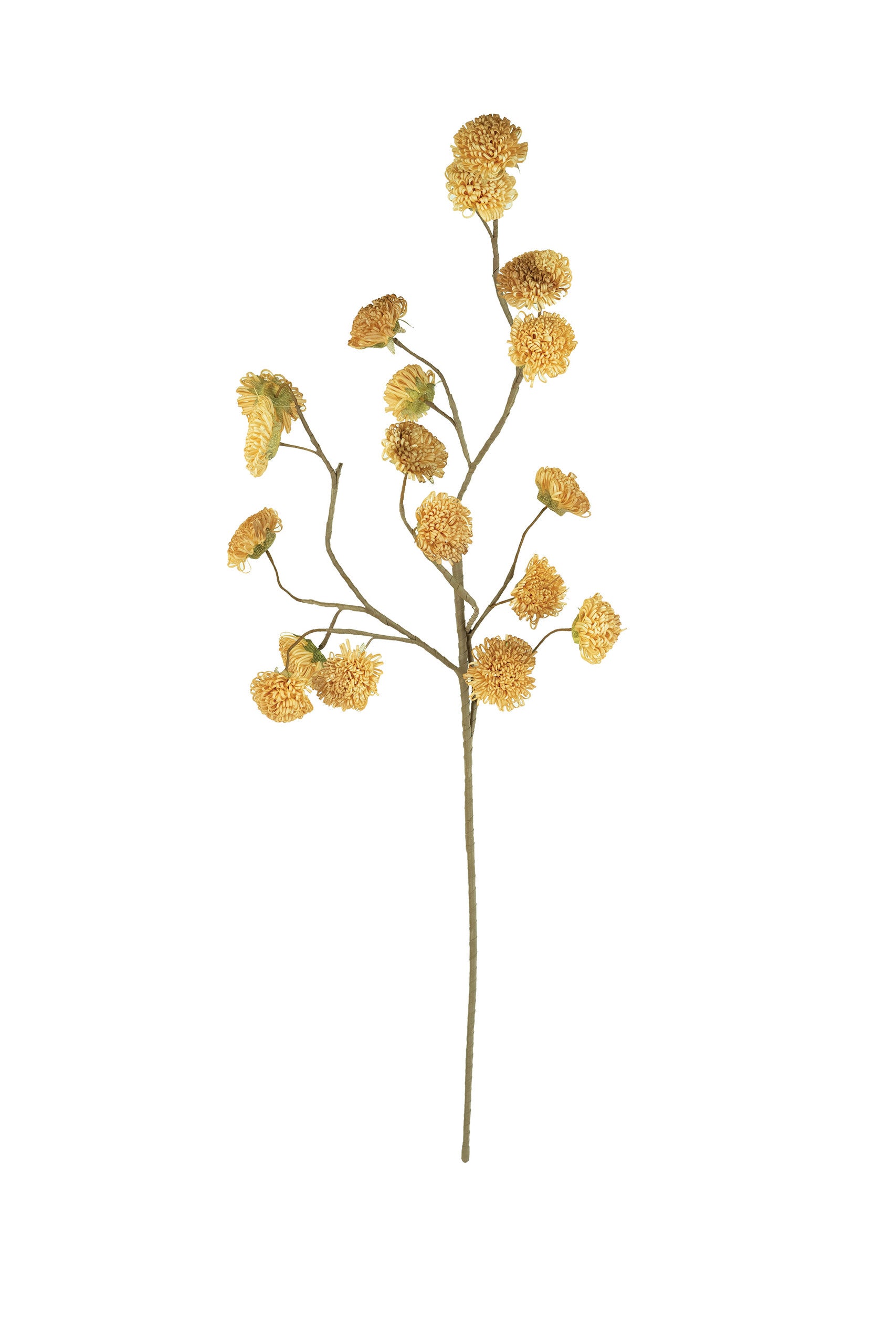 Botanica #3244, tan flowers