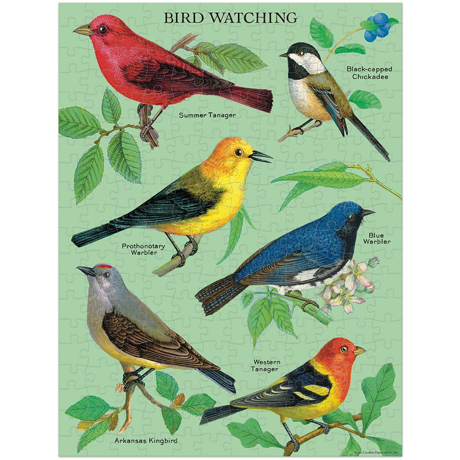 BIRD WATCHING MINI PUZZLE-240 PIECES