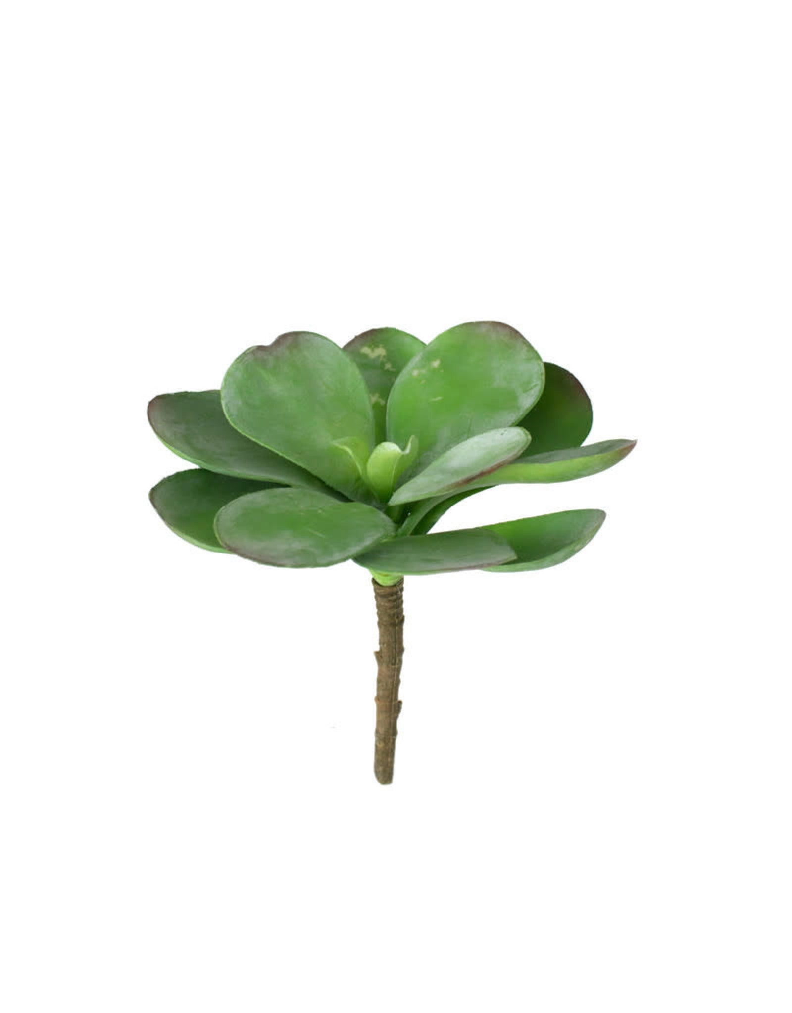 ARTIFICIAL PADDLE PLANT