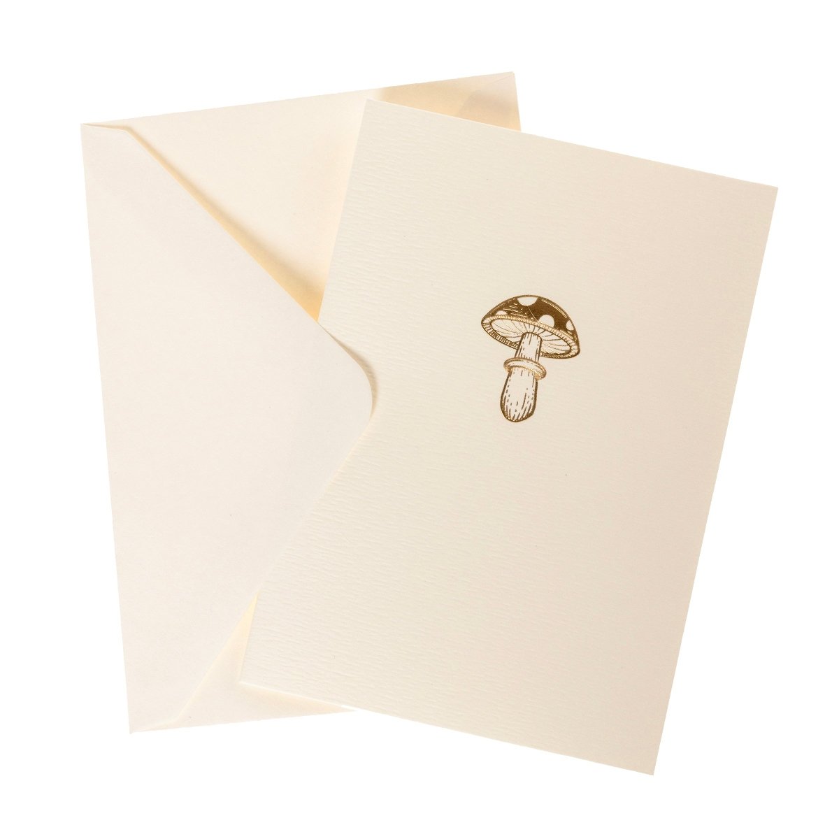 Mushroom Boxed Note Card Set