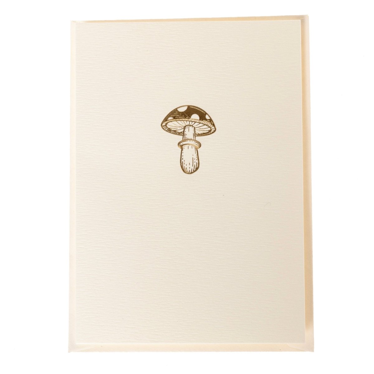 Mushroom Boxed Note Card Set