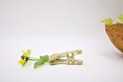 Cast Iron Gold Clip