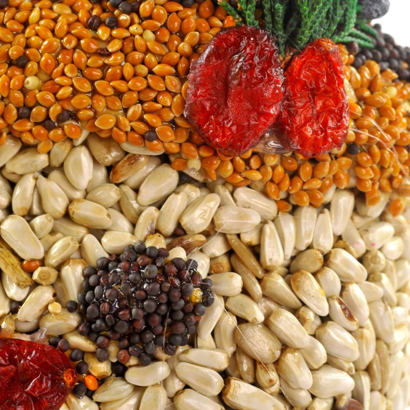 Frosty Snowman - Bird Treat